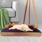 Pet Adobe Pet Adobe Orthopedic Memory Foam Pet Bed - Large 107686ZQY - alternate 8